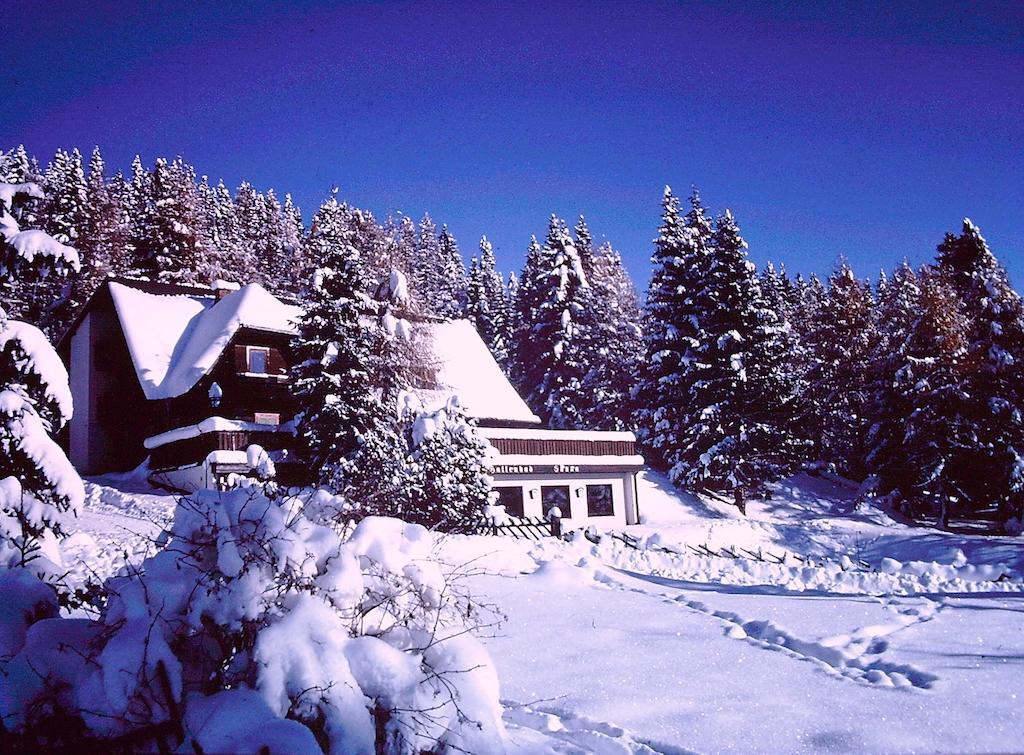 Almgasthof Judenburger Hutte Hotel Sankt Wolfgang Luaran gambar